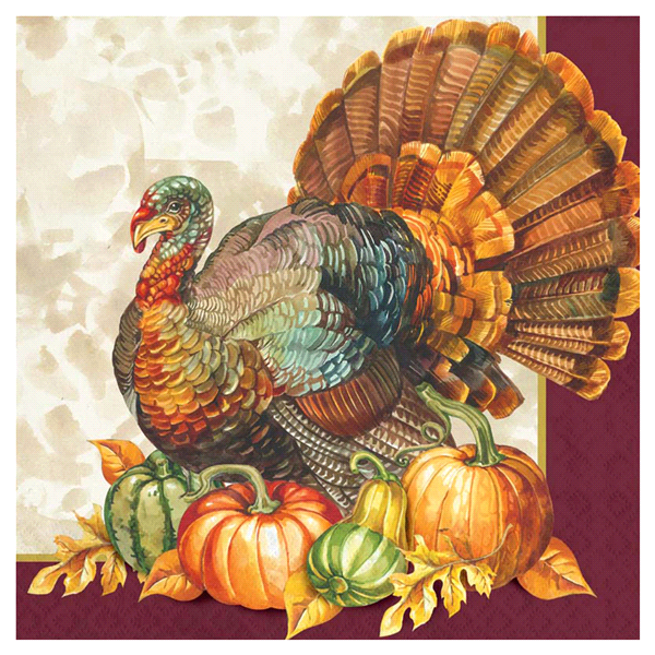 slide 1 of 1, Creative Converting Traditional Turkey Party Napkins, 16 ct