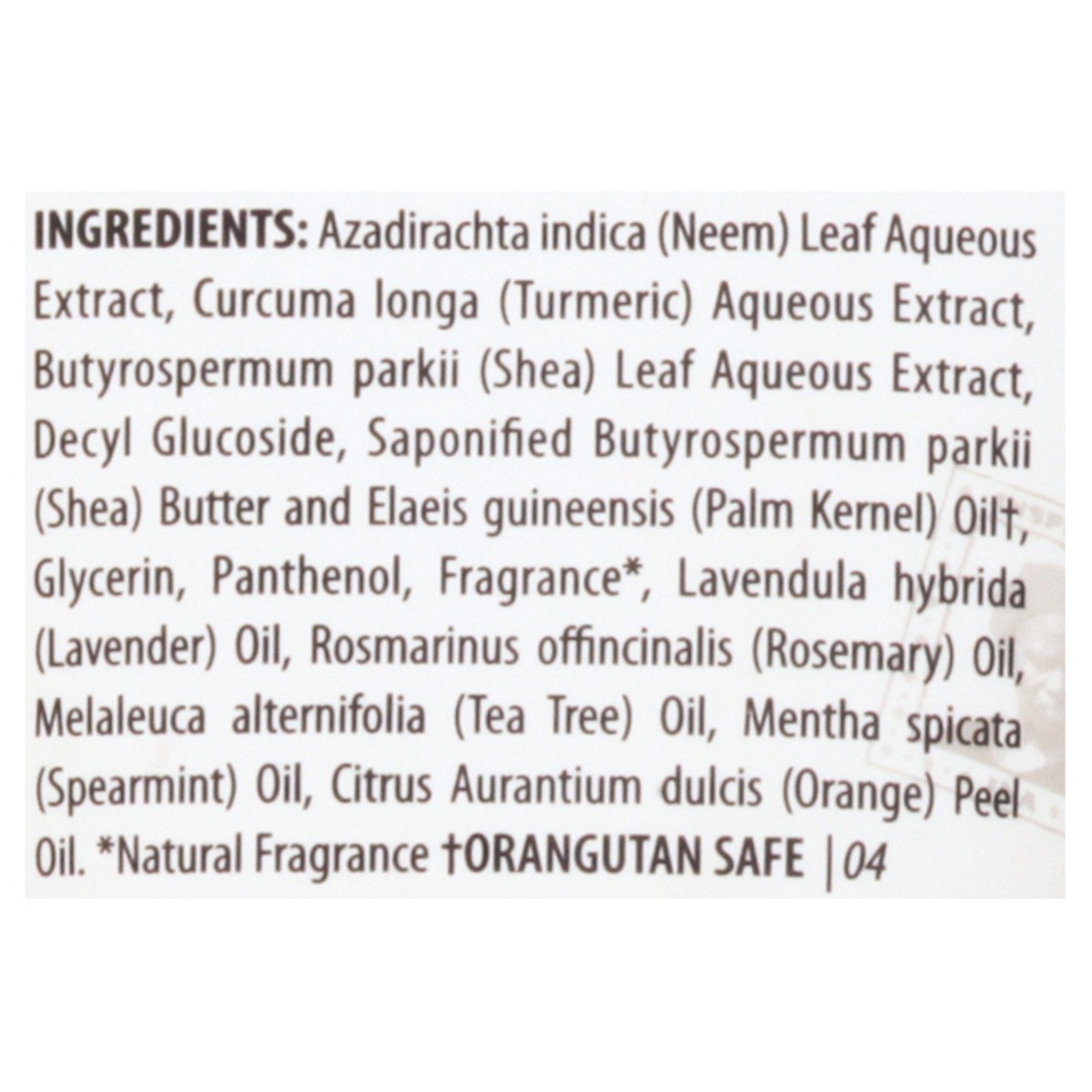 slide 3 of 10, Alaffia Neem Turmeric with Rosemary & Tea Tree Shampoo 8 oz, 8 oz