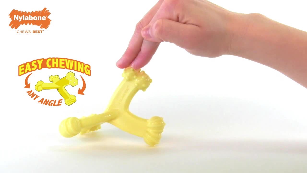 slide 8 of 10, Nylabone Axis Bone Nylon Puppy Chew Toy Small/Regular - Up to 25 Ibs.(1 Count), 1 ct