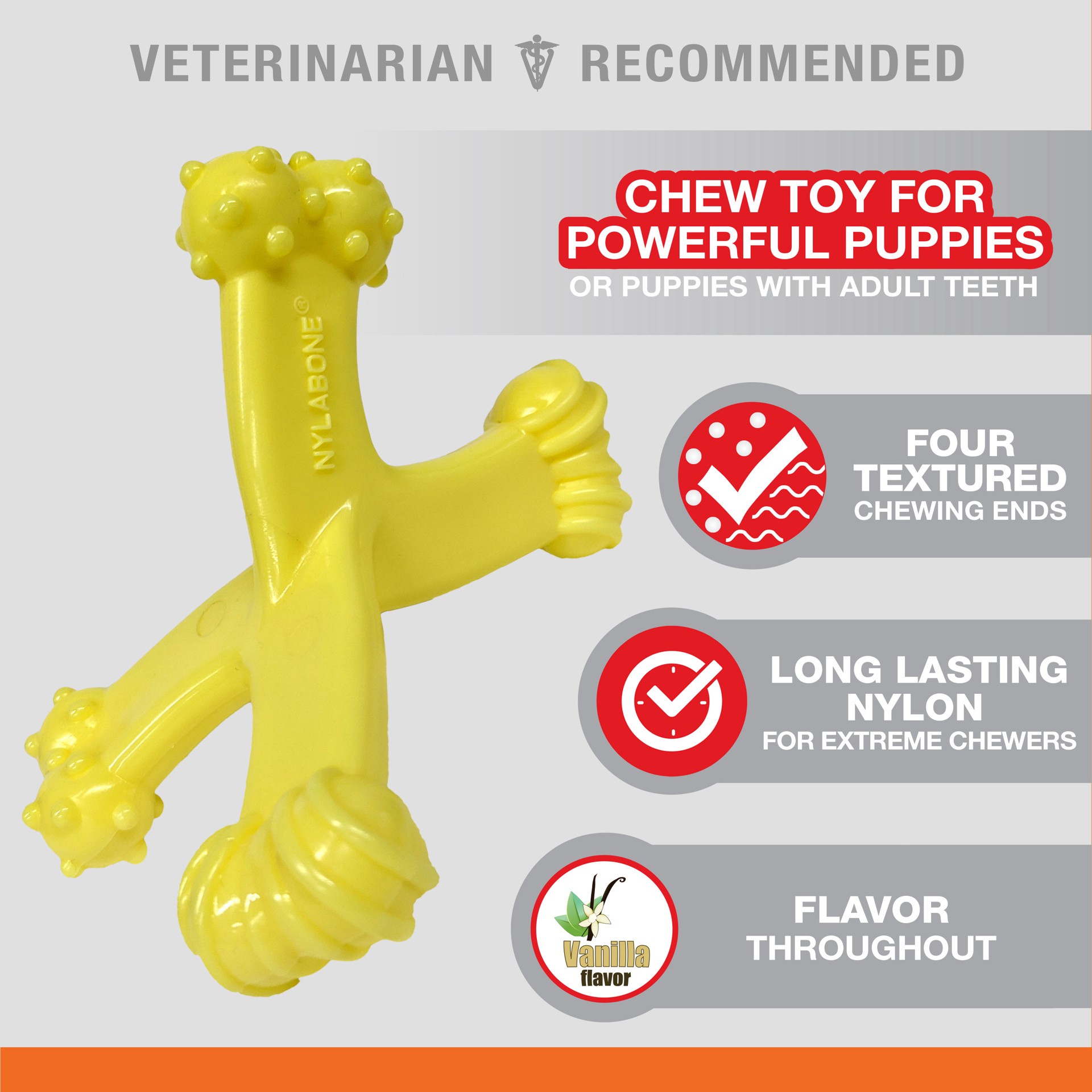 slide 6 of 10, Nylabone Axis Bone Nylon Puppy Chew Toy Small/Regular - Up to 25 Ibs.(1 Count), 1 ct
