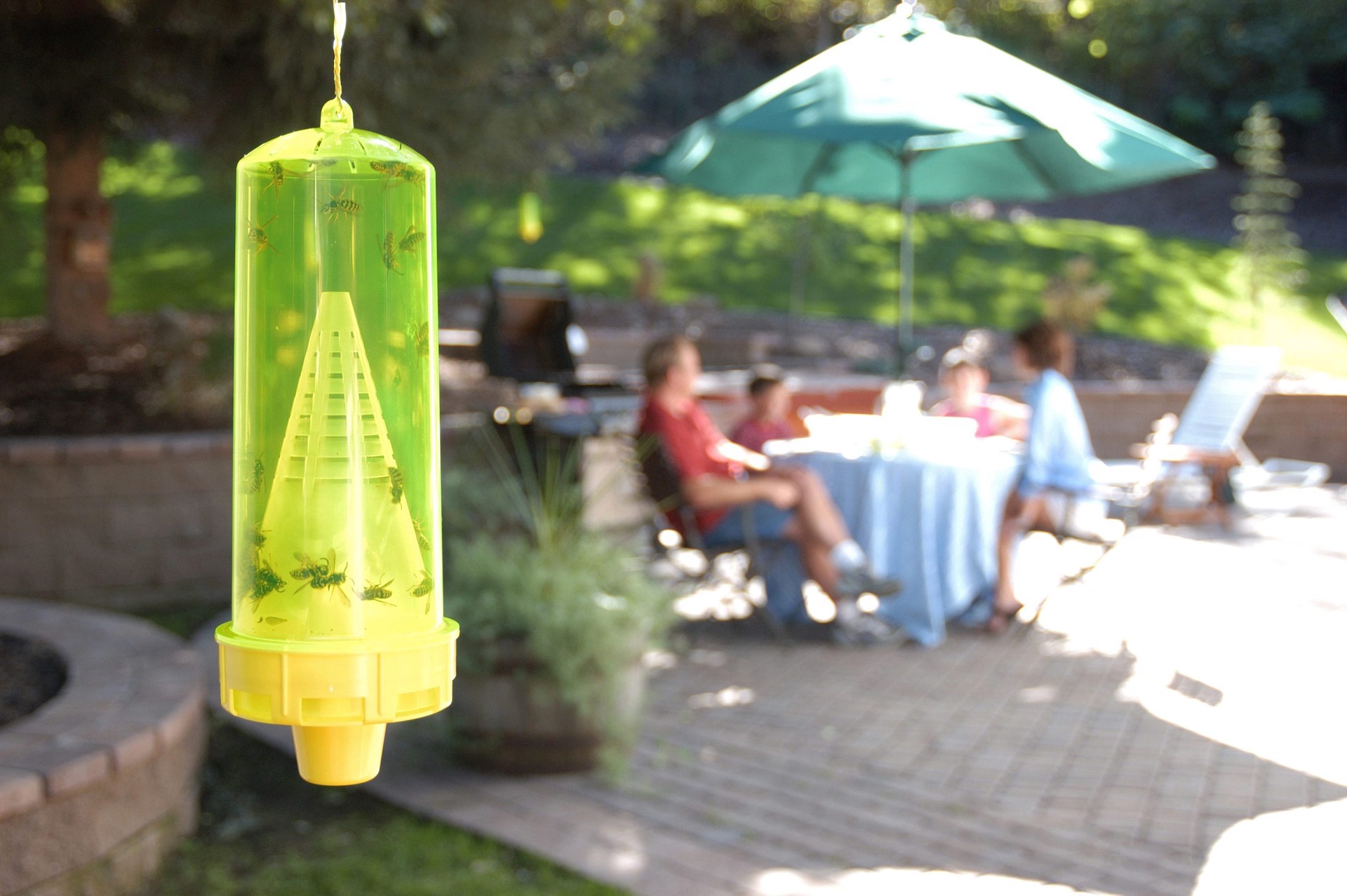 slide 5 of 6, Rescue! Yellowjacket Trap 10-Week Refill, 1 ct