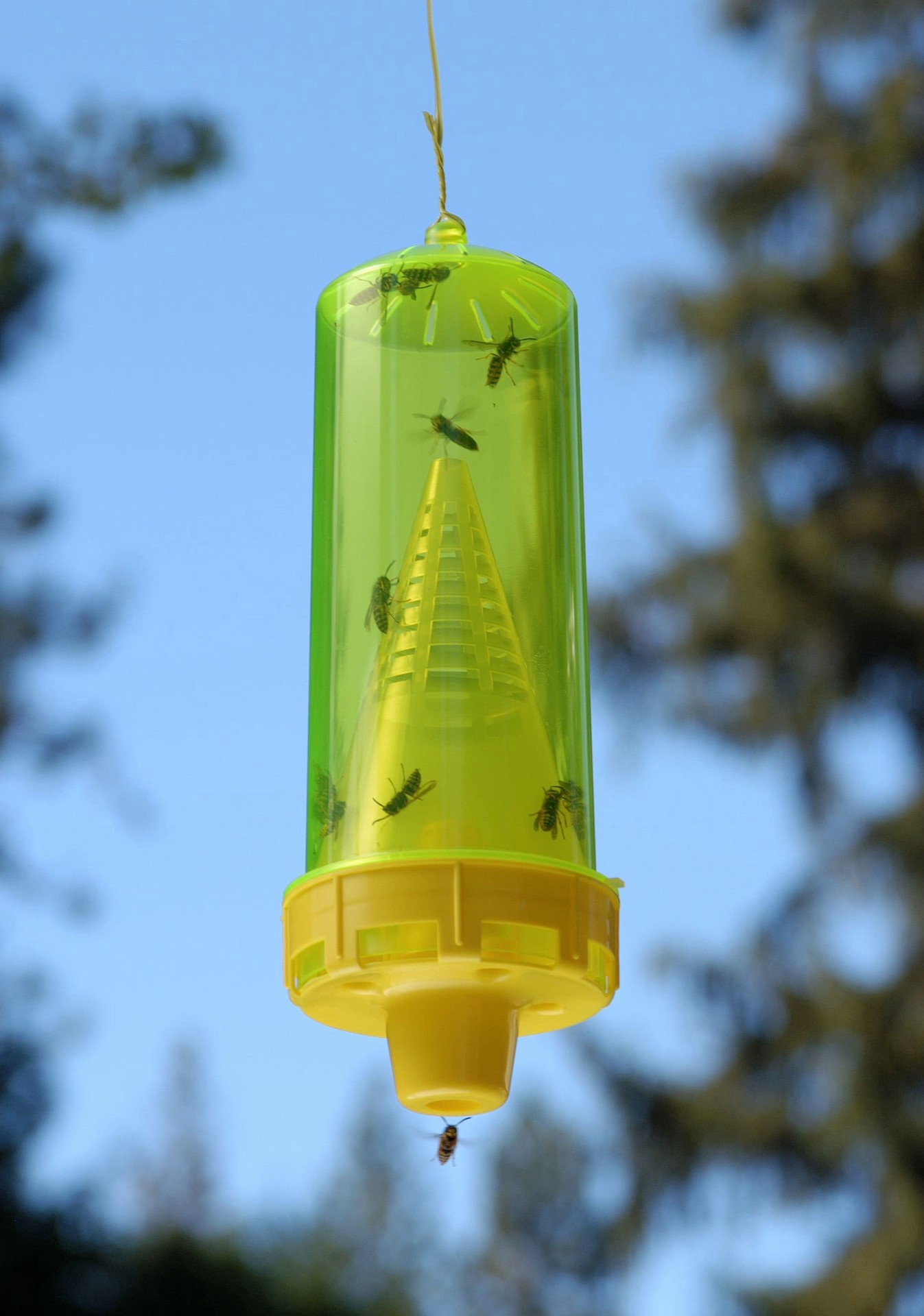 slide 6 of 6, Rescue! Yellowjacket Trap 10-Week Refill, 1 ct