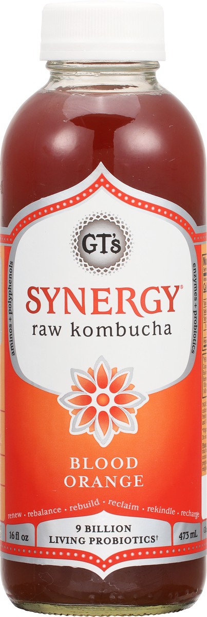 slide 5 of 9, GT's Kombucha Synergy Blood Orange - 16 fl oz, 16 fl oz