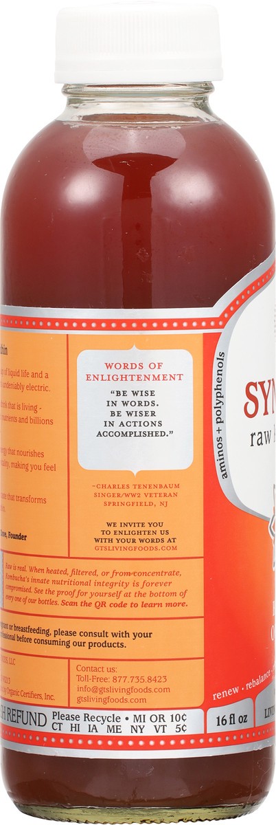slide 6 of 9, GT's Kombucha Synergy Blood Orange - 16 fl oz, 16 fl oz