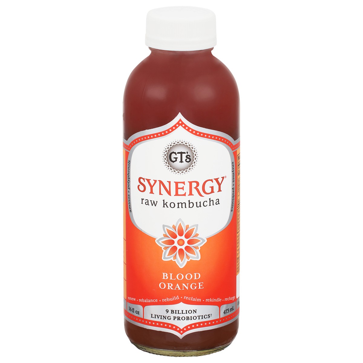 slide 1 of 9, GT's Kombucha Synergy Blood Orange - 16 fl oz, 16 fl oz