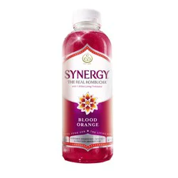 GT's Blood Orange Kombucha 16 fl oz