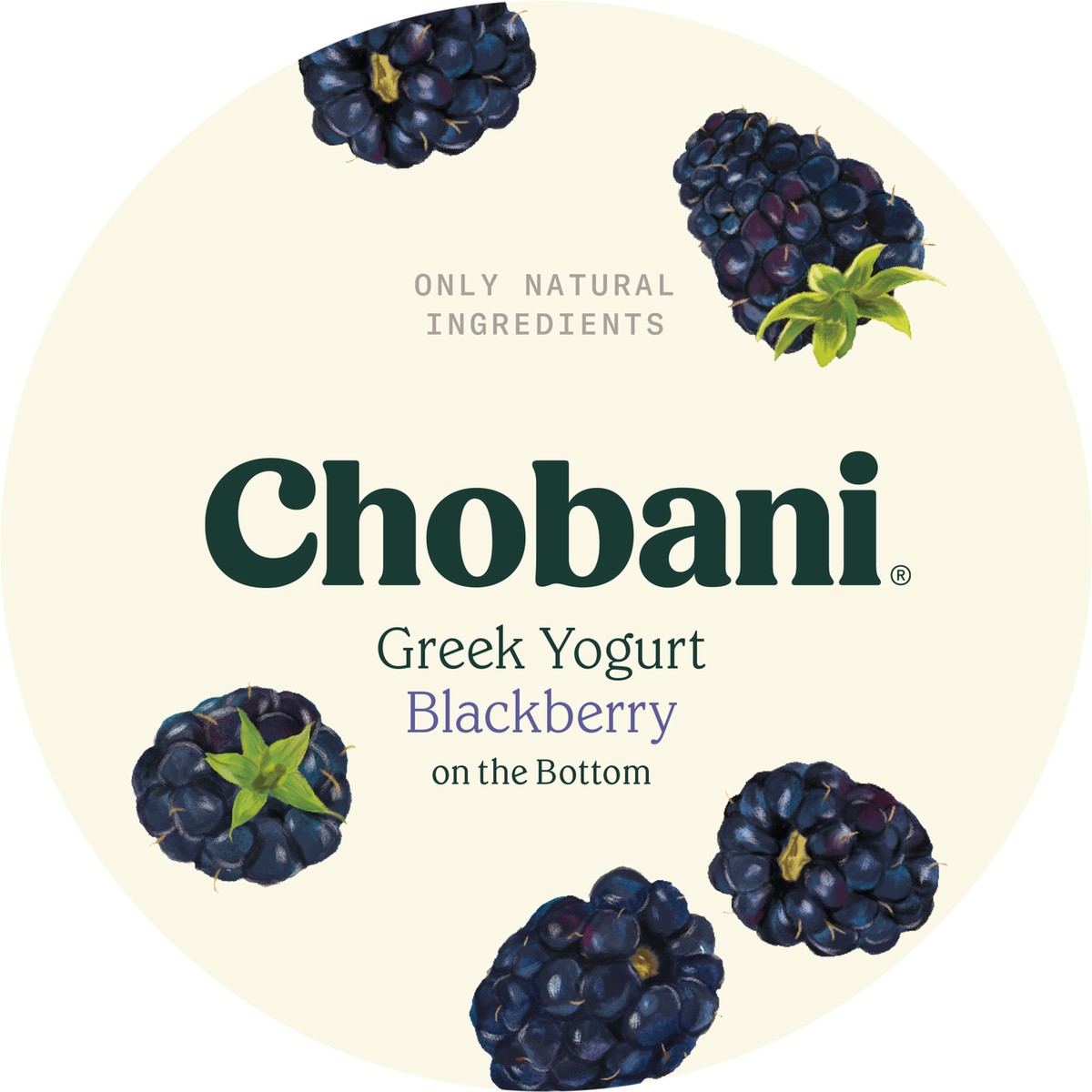 slide 9 of 9, Chobani Yogurt, 5.3 oz