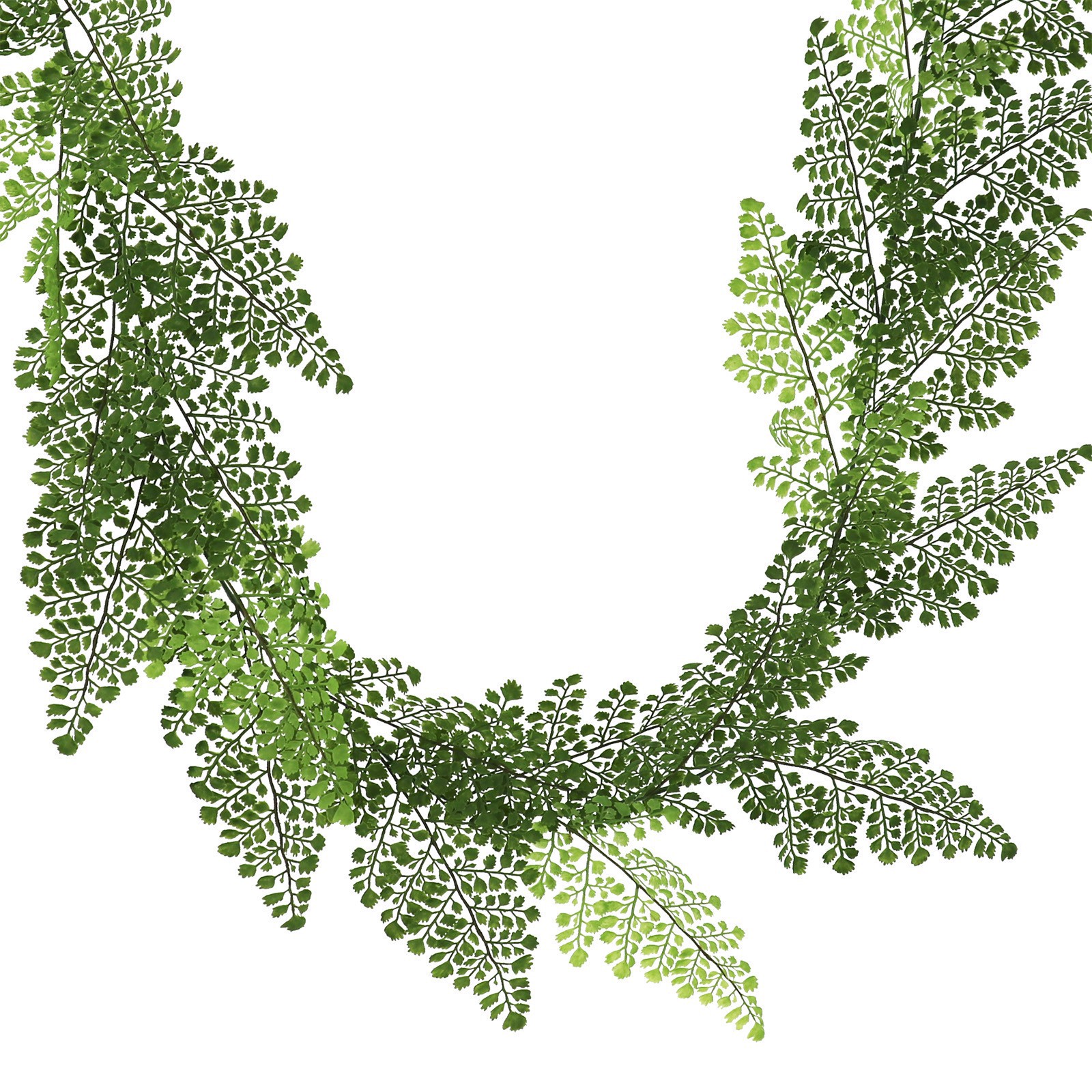slide 2 of 2, 6ft. Maidenhair Fern Garland By Ashland, 6 ft