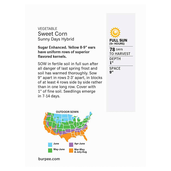 slide 4 of 5, Burpee Yellow Corn Sunny Days Hybrid Seeds, 1 ct