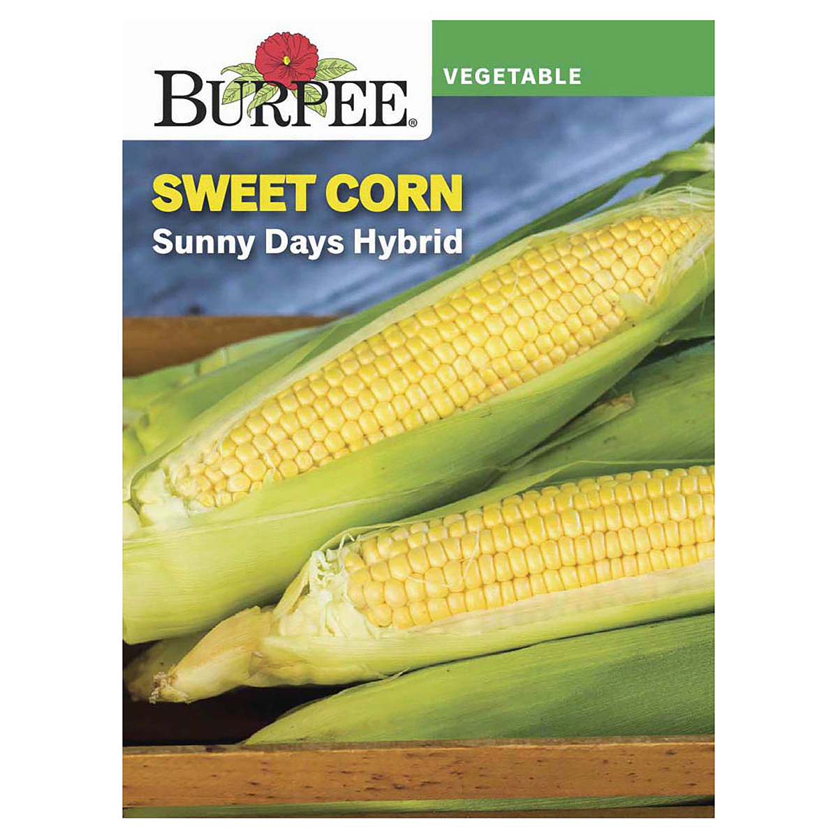 slide 1 of 5, Burpee Yellow Corn Sunny Days Hybrid Seeds, 1 ct