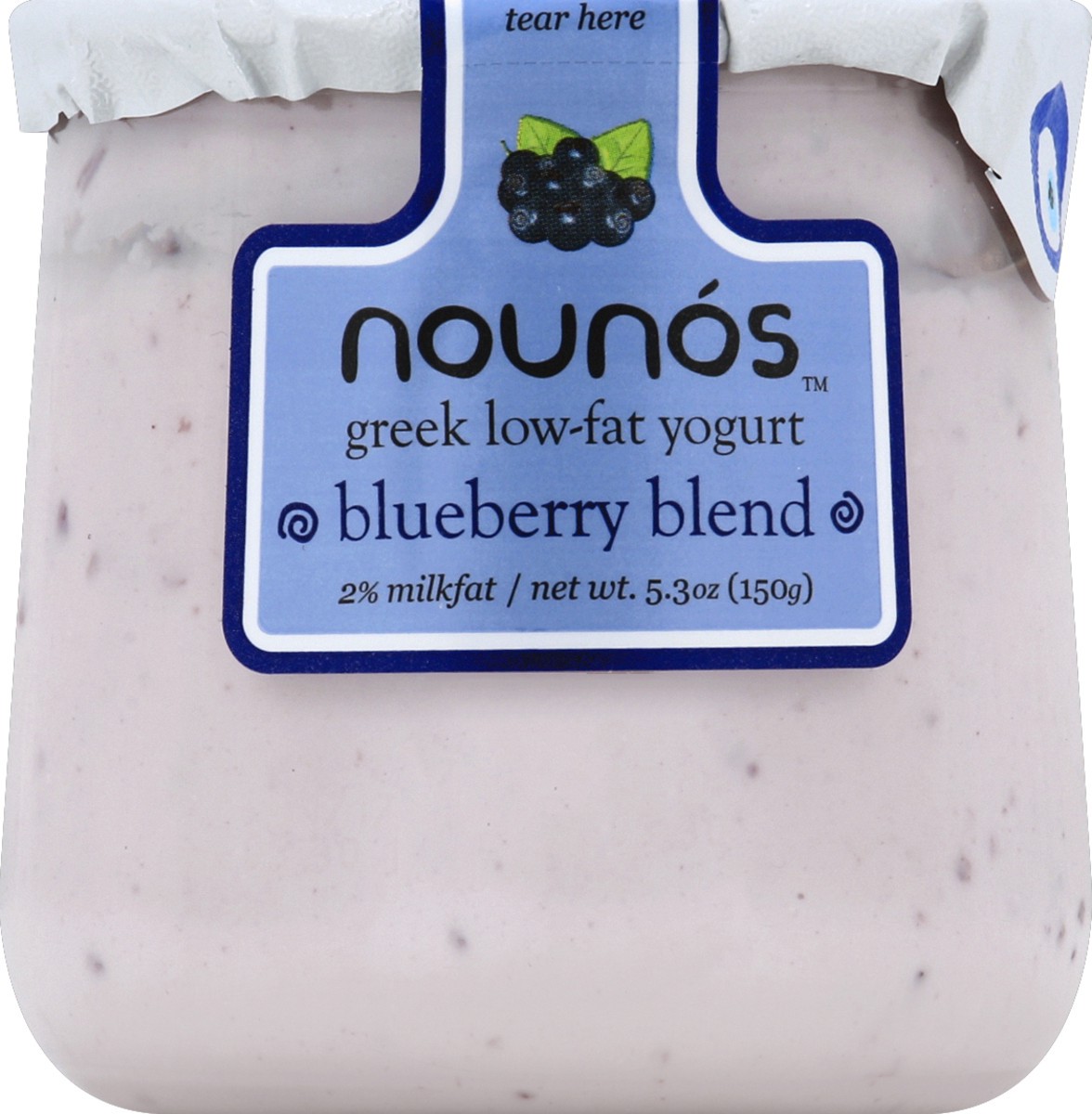 slide 3 of 3, Nounós Greek Yogurt Blueberry Blend, 6 oz