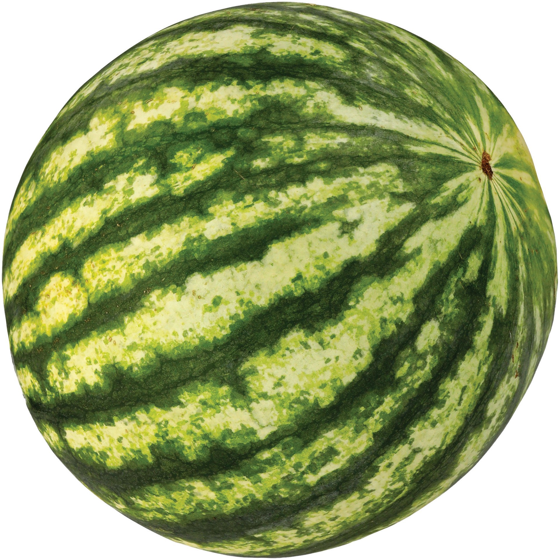 slide 1 of 1, Fresh Organic Personal Melon, 1 ct