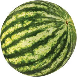 Fresh Organic Personal Melon