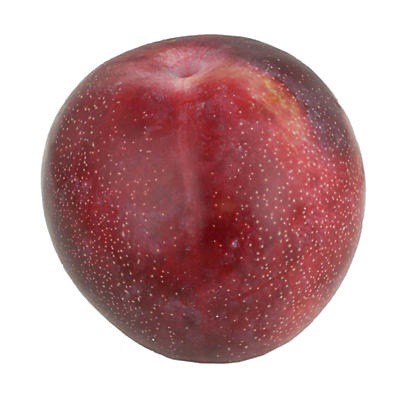 slide 1 of 1, Red Plumcot (Interspecific Plum), 1 ct
