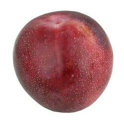 Red Plumcot (Interspecific Plum)