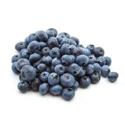 Alpine Jumbo Blueberries