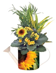 Sunflower Watering Can Dishgar