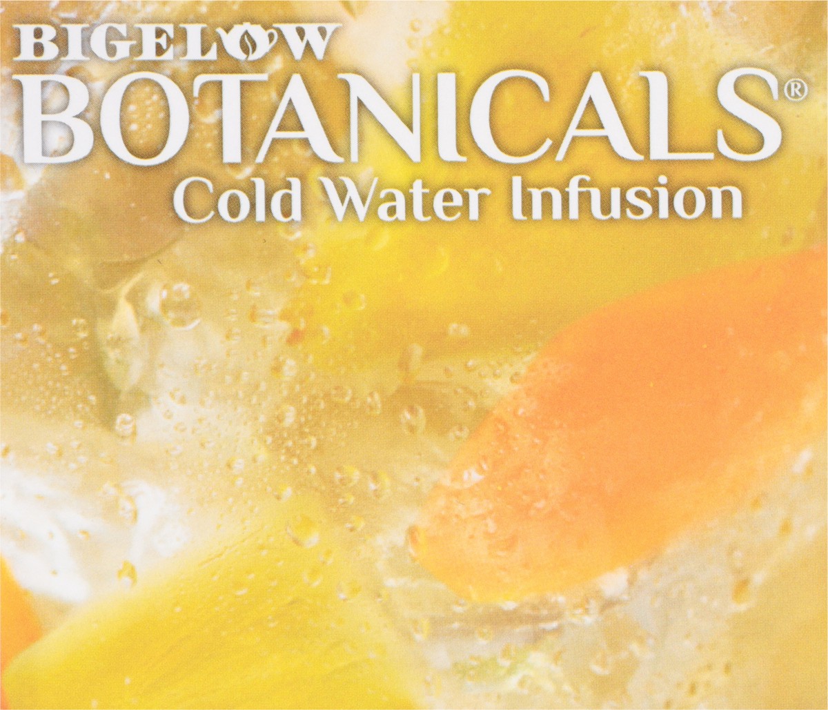 slide 8 of 13, Bigelow Botanicals Cold Water Infusion Tea Bags, Pineapple Coconut Mango, 18 ct, 18 ct