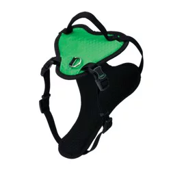 Inspire Adjustable Dog Harness with Handle, Inspire Green, Medium - 5/8" x 20"-30", 25-50 lb