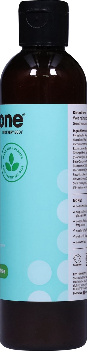 slide 4 of 13, Everyone Peppermint + Tea Tree Power Rinse 8 fl oz, 8 fl oz