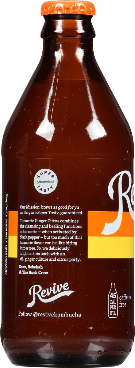 slide 5 of 8, Revive Kombucha Tumeric Ginger Citrus, 12 fl oz