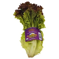 Organic - Leaf Lettuce - Red
