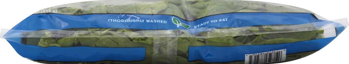 slide 2 of 6, Fresh Express Spinach 16 oz, 16 oz