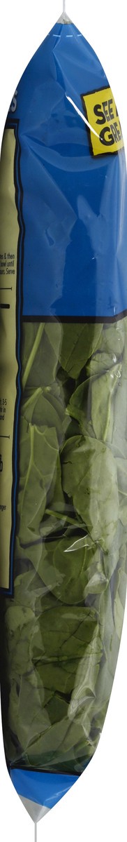 slide 4 of 6, Fresh Express Spinach 16 oz, 16 oz
