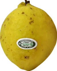 Guava 1 ea
