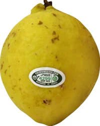 Guava 1 ea