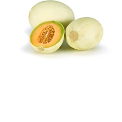Melon Orange Flesh