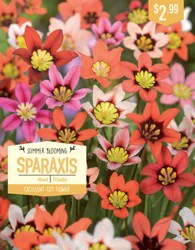 Sparaxis Mixed - 10 ct