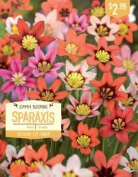 Sparaxis Mixed - 10 ct