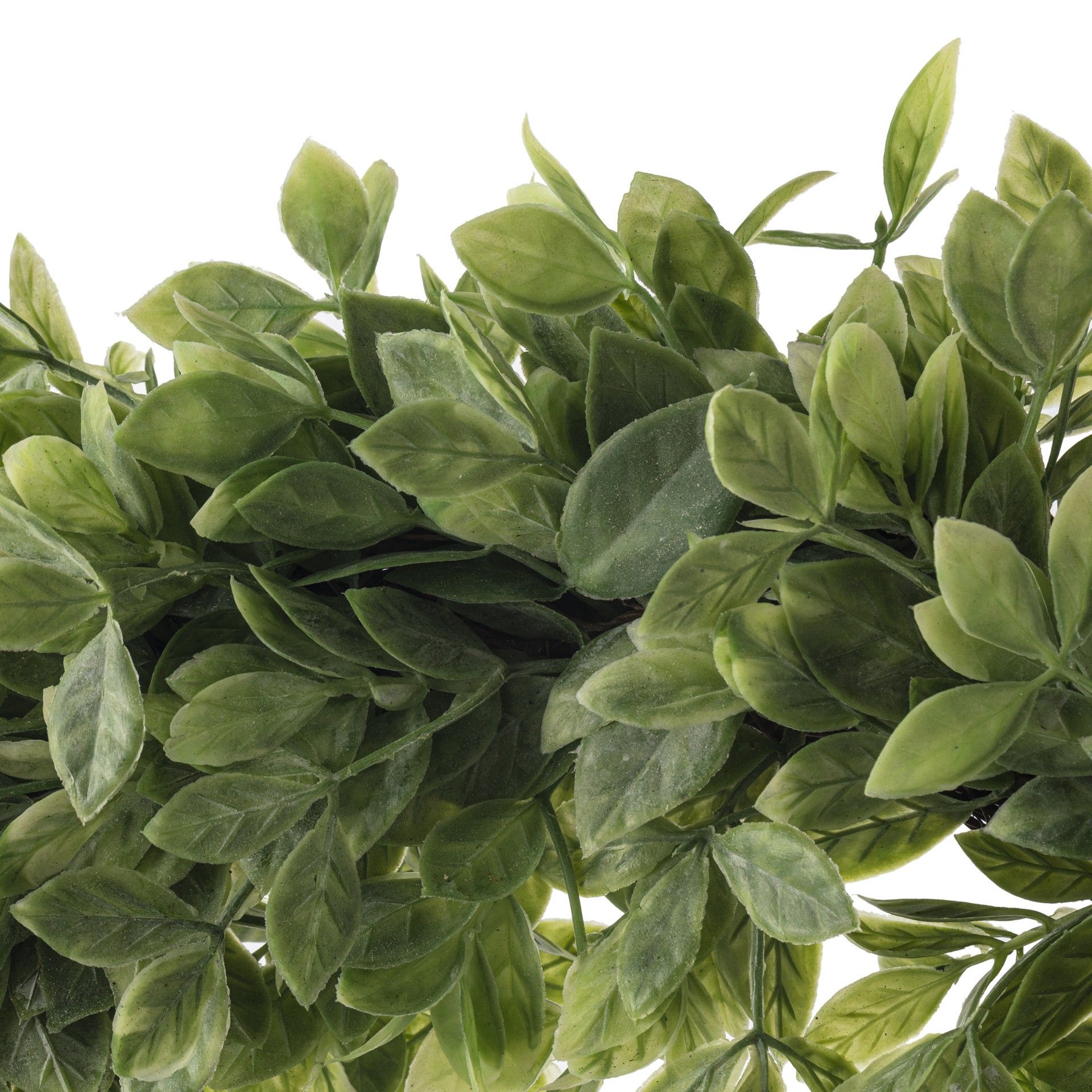 slide 2 of 4, 20" Plastic Foliage Wreath By Ashland, 20 in x 20 in x 3 in