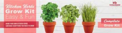 TotalGreen Kitchen Herbs Grow Kit 1 ea