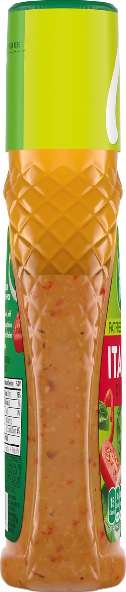 slide 5 of 9, Wish-Bone Fat Free Italian Dressing 8 fl oz, 8 fl oz