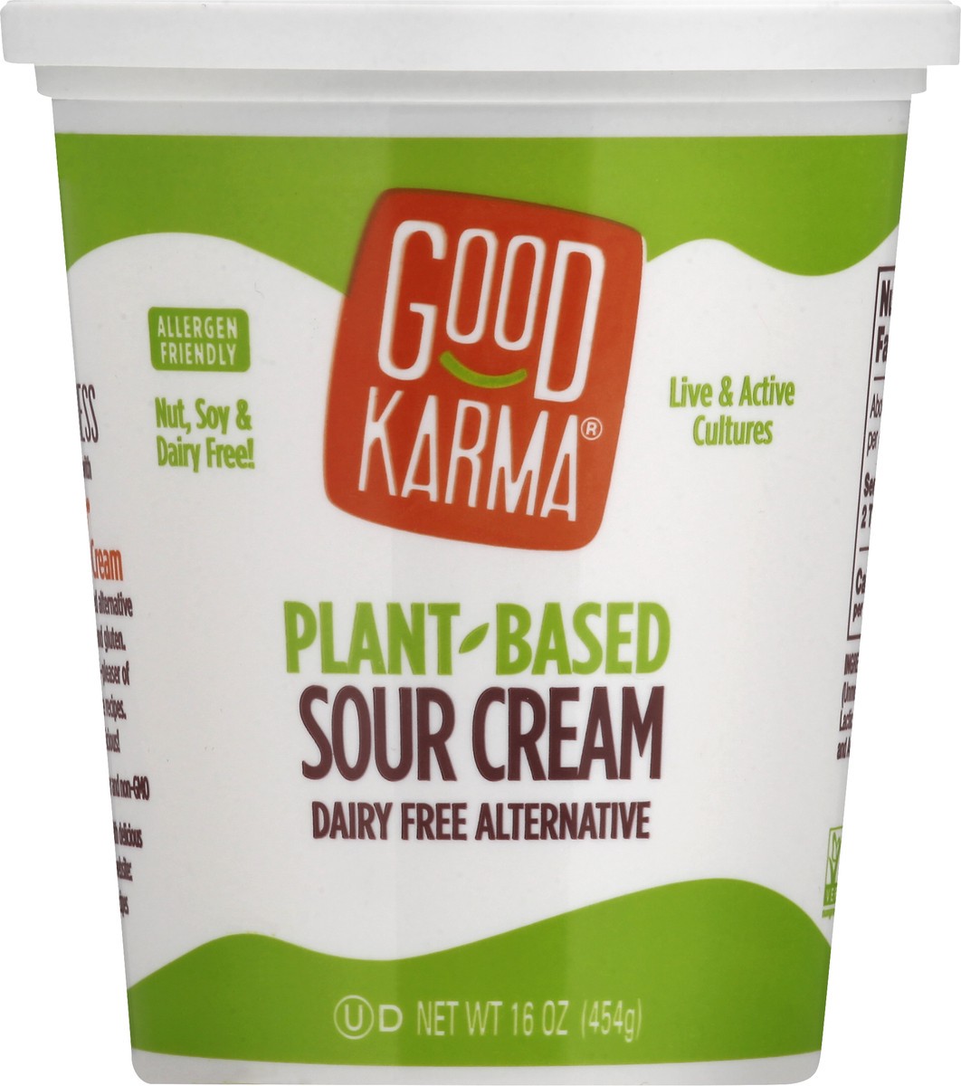 slide 5 of 13, Good Karma Plant-Based Sour Cream 16 oz, 16 oz