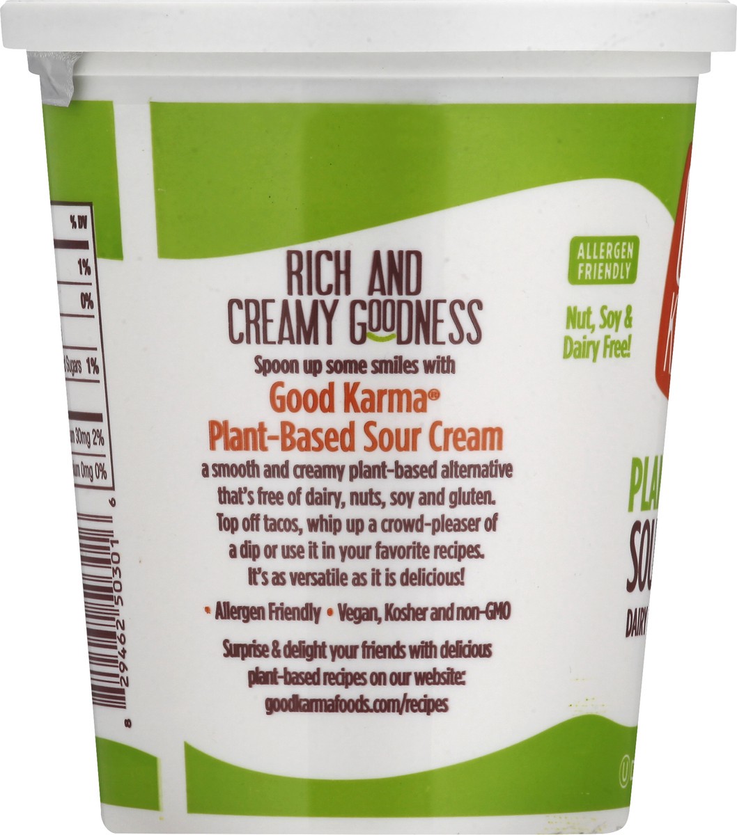 slide 6 of 13, Good Karma Plant-Based Sour Cream 16 oz, 16 oz