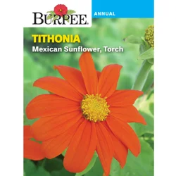 Burpee Tithonia Mexican Sunflower Torch