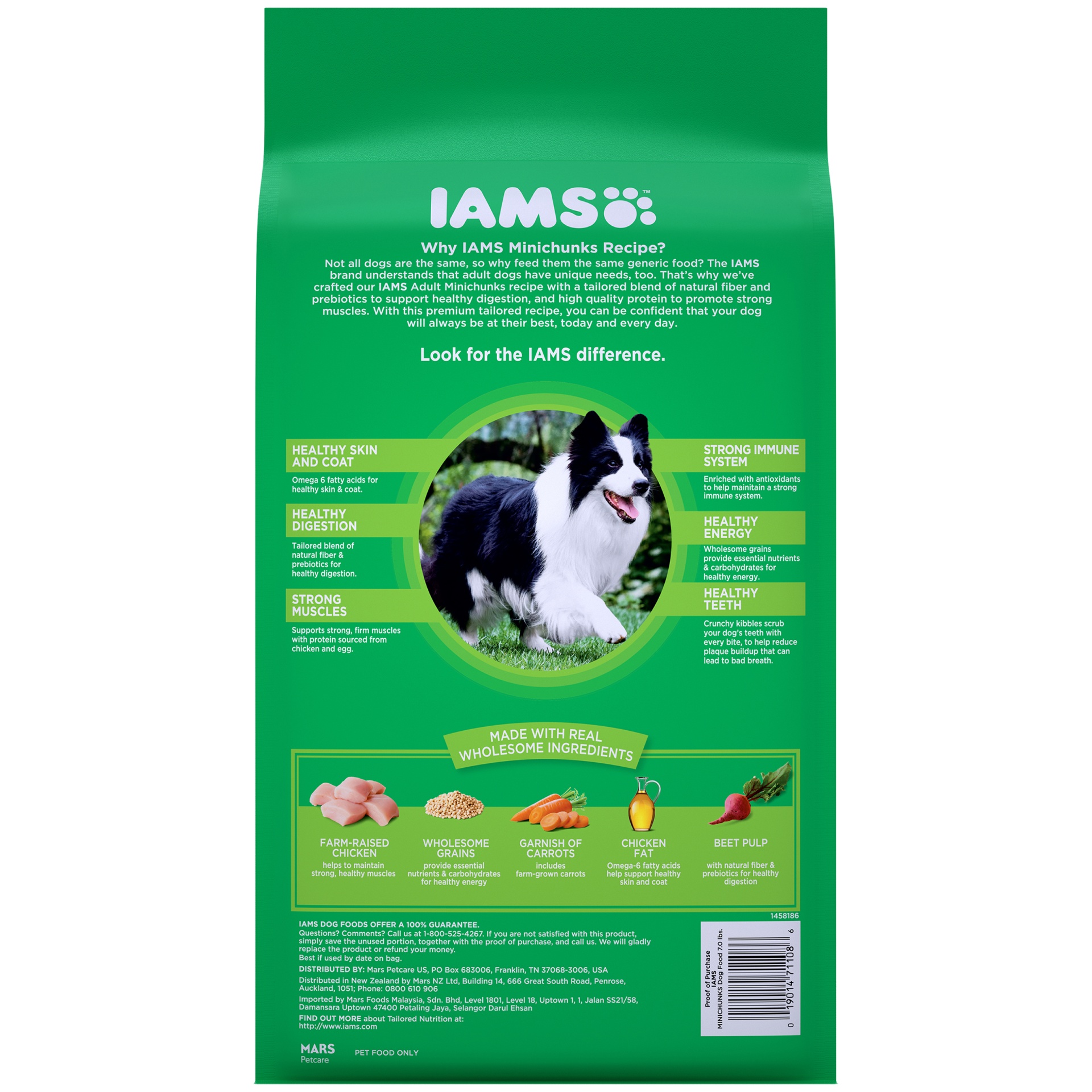 slide 2 of 7, Iams Adult Minichunks Small Kibble High Protein Dry Dog Food With Real Chicken, 7 lb