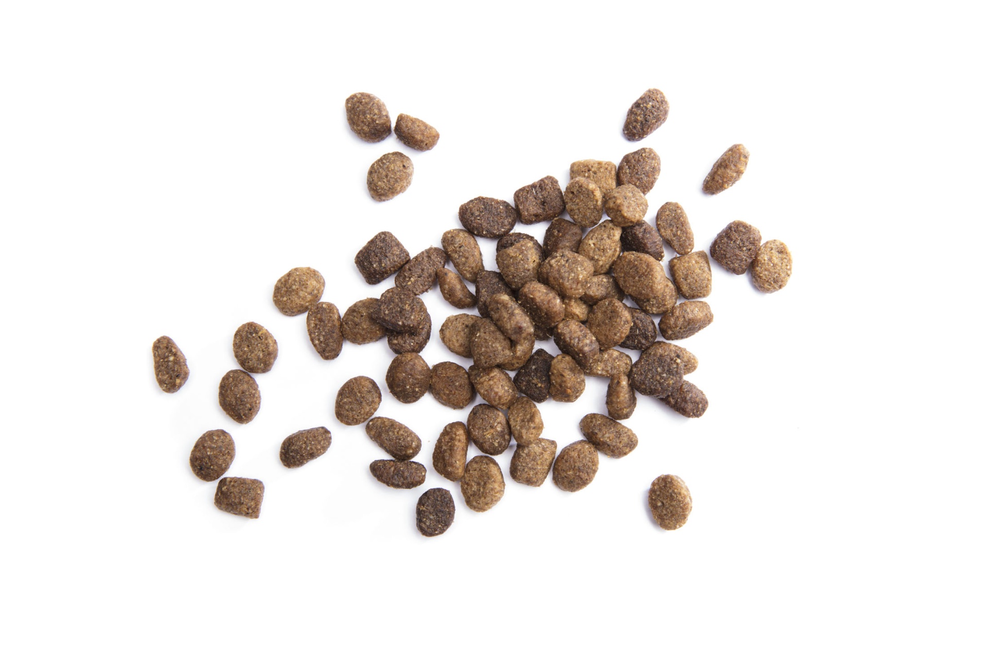 IAMS Adult Minichunks Small Kibble High Protein Dry Dog Food with Real