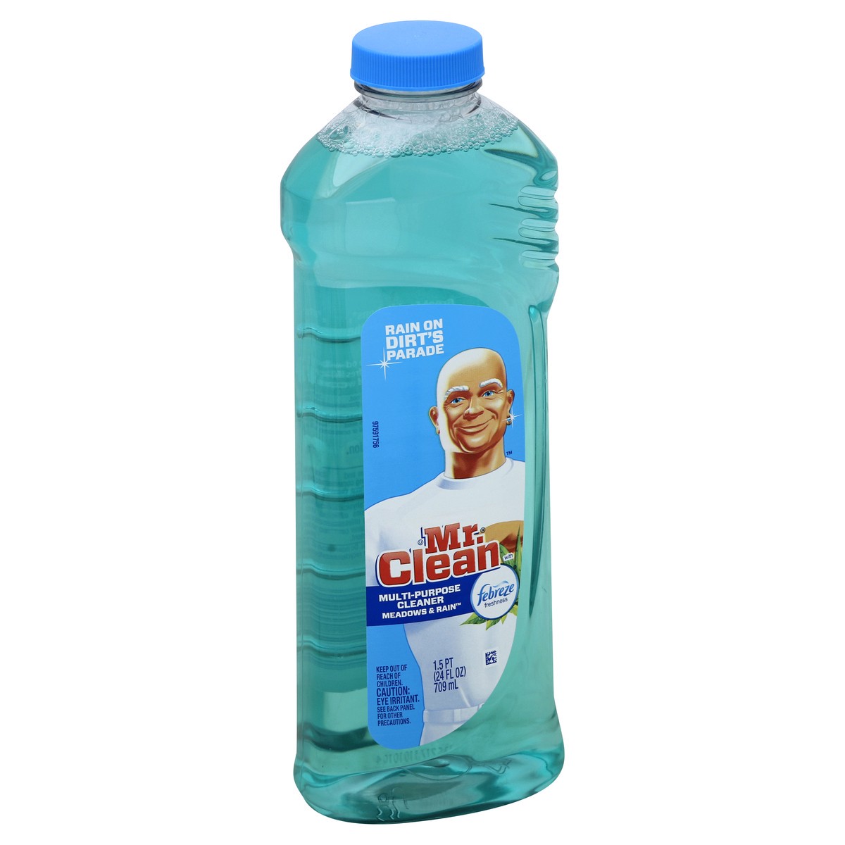 slide 3 of 3, Mr. Clean Multi-Purpose Cleaner 24 oz, 24 oz