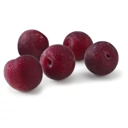 Apricots Black Velvet