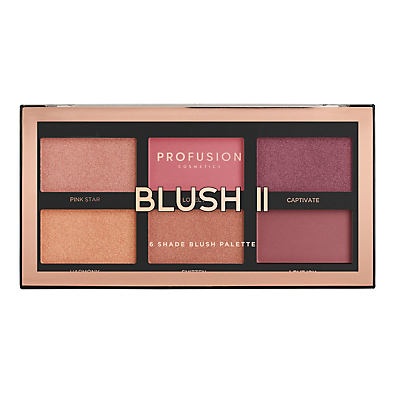 slide 1 of 1, Profusion Cosmetics Color Blush Palette II, 1 ct