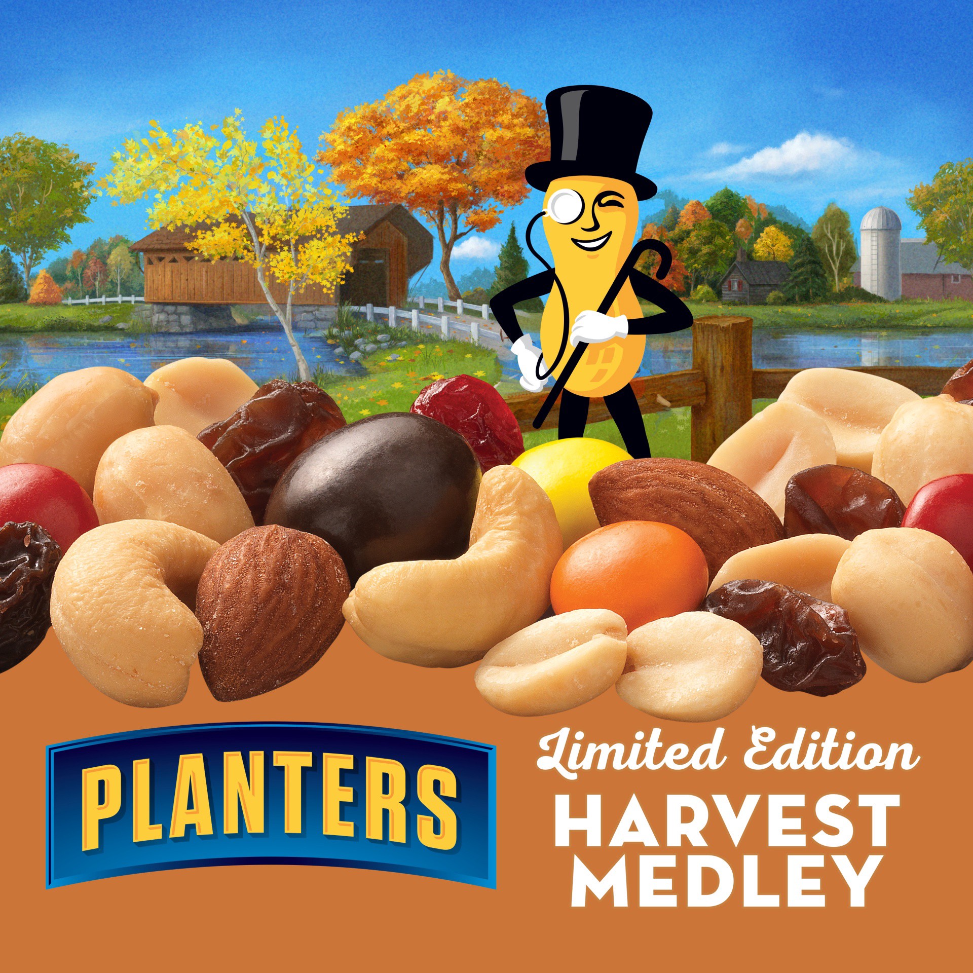 slide 2 of 10, Planters Harvest Medley Mix 16.75 oz, 16.75 oz