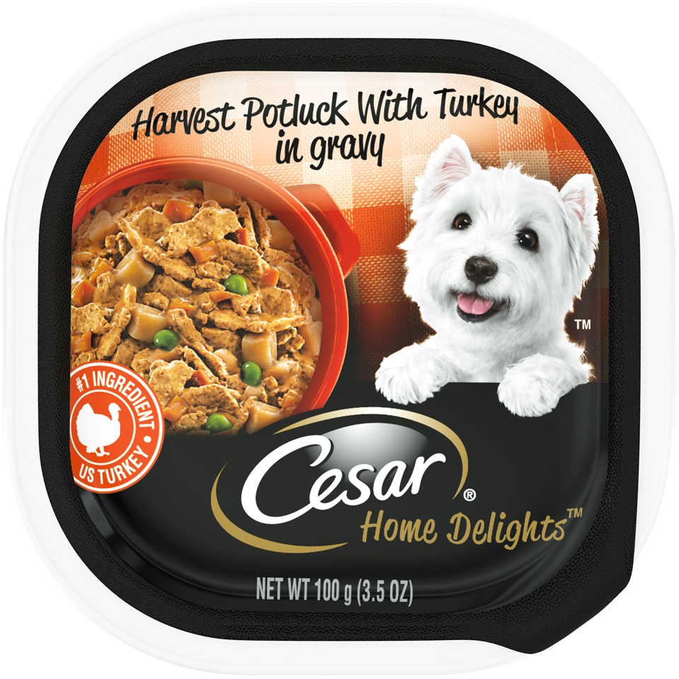 slide 1 of 9, Cesar Home Delights Harvest Potluck with Turkey in Gravy Wet Dog Food Tray, 3.5 oz