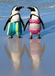 Avanti Anniversary Card - Penguins Holding Hands