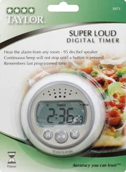 Taylor Timer 1 ea