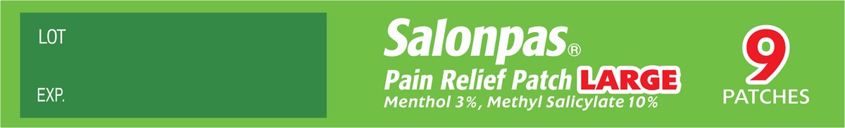 slide 2 of 7, Salonpas Pain Relief Patch Large, 9 ct
