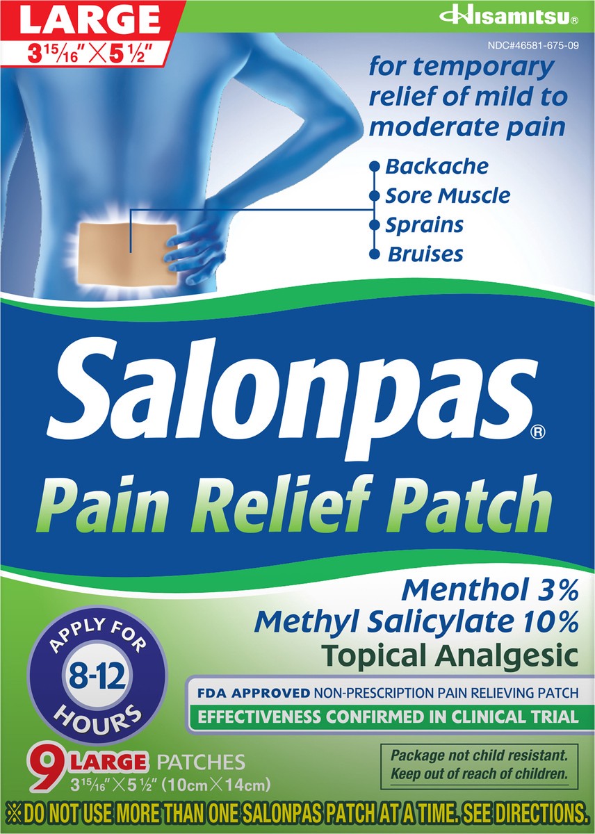 slide 6 of 7, Salonpas Pain Relief Patch Large, 9 ct